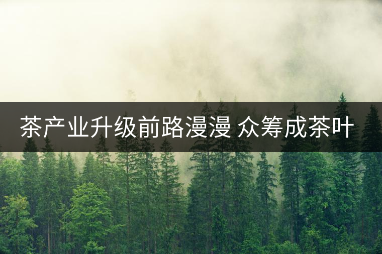 茶產(chǎn)業(yè)升級(jí)前路漫漫 眾籌成茶葉營銷新寵