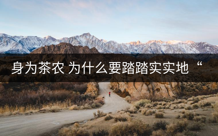 身為茶農(nóng) 為什么要踏踏實實地“放毒”！