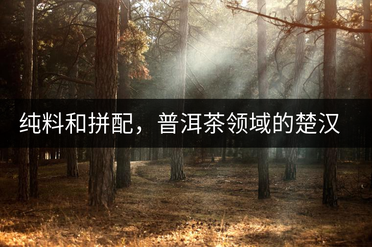 純料和拼配，普洱茶領(lǐng)域的楚漢之爭(zhēng)