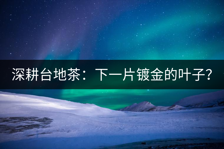 深耕臺(tái)地茶：下一片鍍金的葉子？