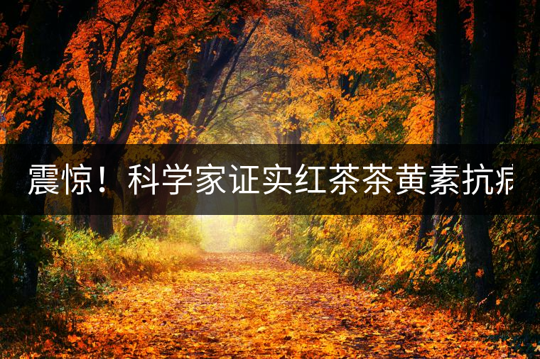 震驚！科學(xué)家證實(shí)紅茶茶黃素抗病毒新功能！