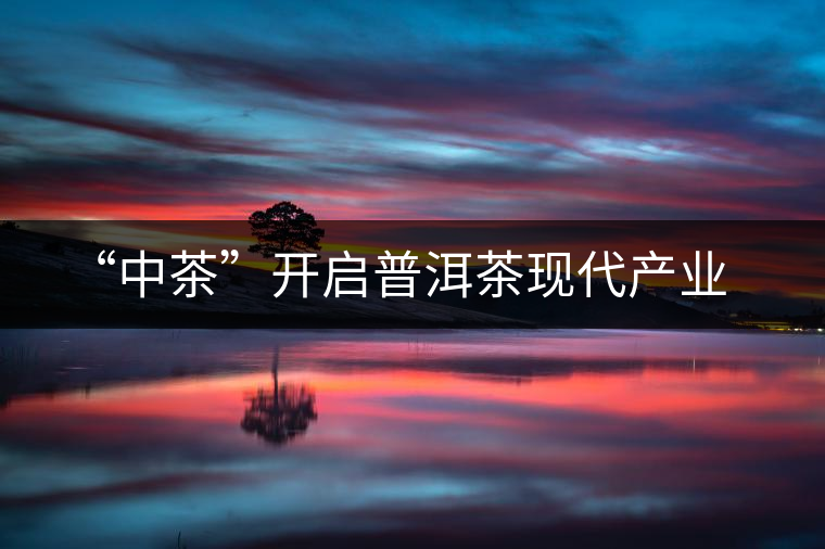 “中茶”開啟普洱茶現(xiàn)代產(chǎn)業(yè)