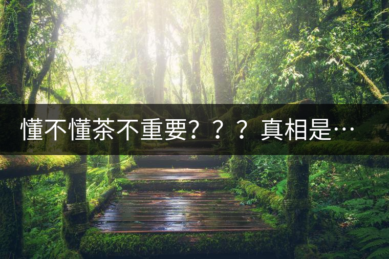 懂不懂茶不重要？？？真相是……