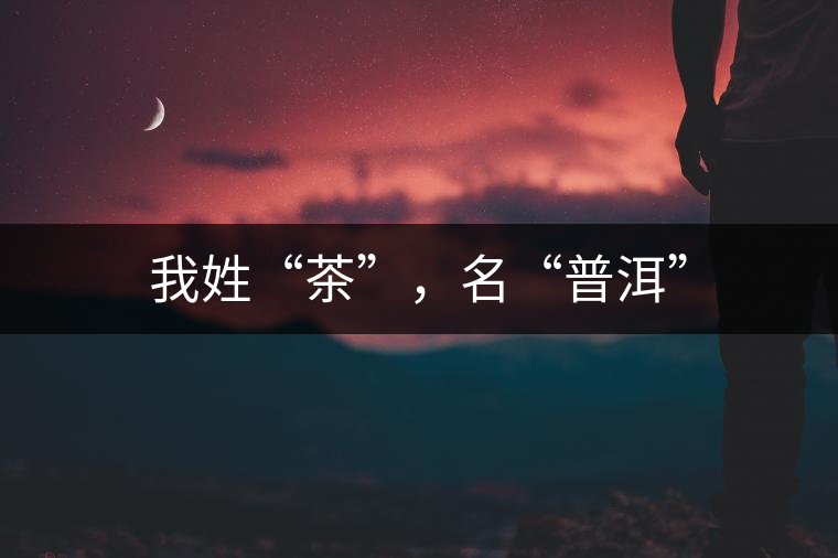 我姓“茶”，名“普洱”