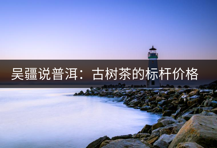 吳疆說普洱：古樹茶的標桿價格在哪里？