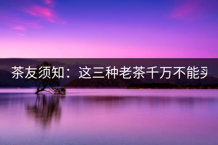 茶友須知：這三種老茶千萬不能買！