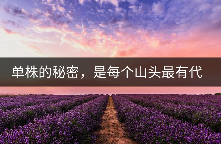 單株的秘密，是每個(gè)山頭最有代表性的味道？