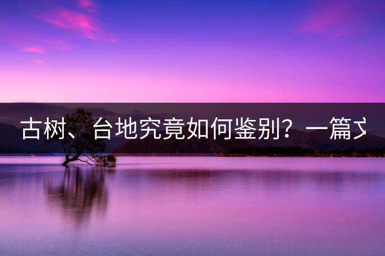 古樹、臺地究竟如何鑒別？一篇文章說透！