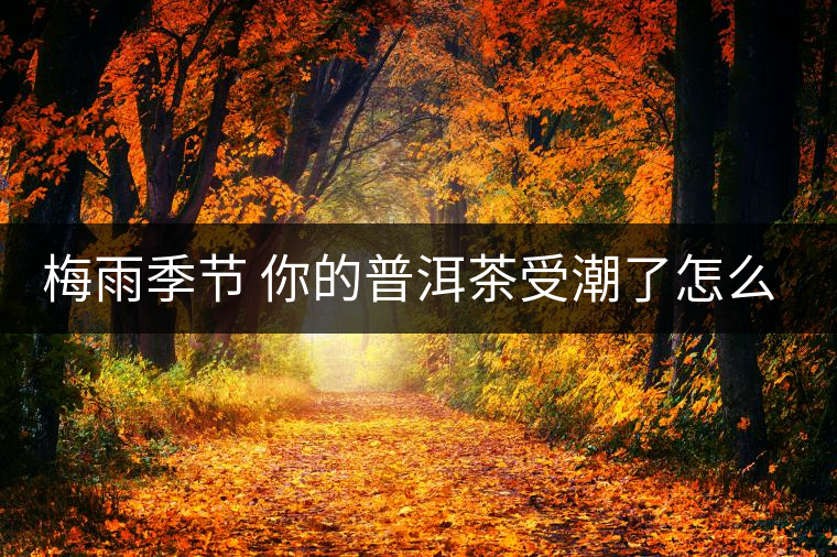 梅雨季節(jié) 你的普洱茶受潮了怎么辦？