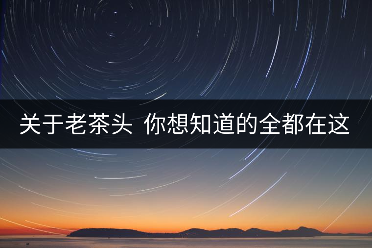 關(guān)于老茶頭  你想知道的全都在這兒啦！