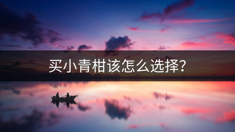 買(mǎi)小青柑該怎么選擇？