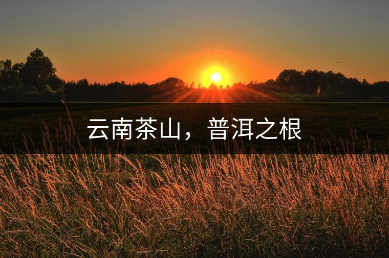 云南茶山，普洱之根