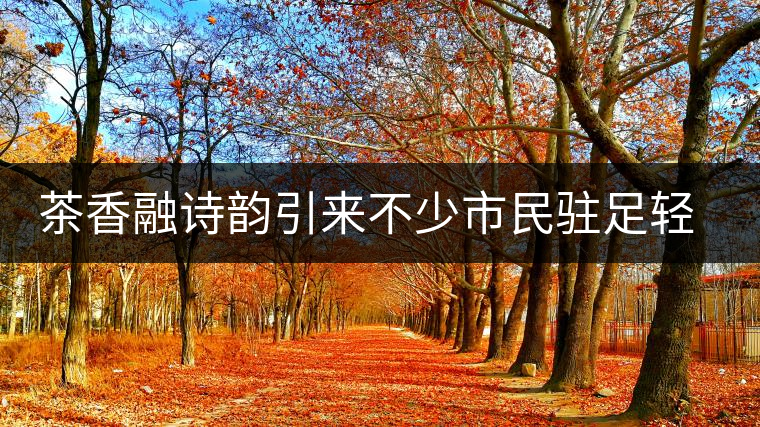 茶香融詩(shī)韻引來不少市民駐足輕吟