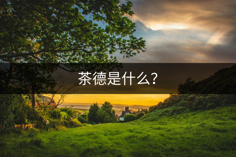 茶德是什么？