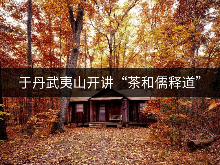 于丹武夷山開(kāi)講“茶和儒釋道” 于丹武夷山開(kāi)講“茶和儒釋道”