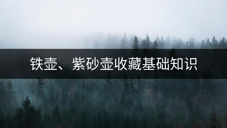 鐵壺、紫砂壺收藏基礎(chǔ)知識(shí)