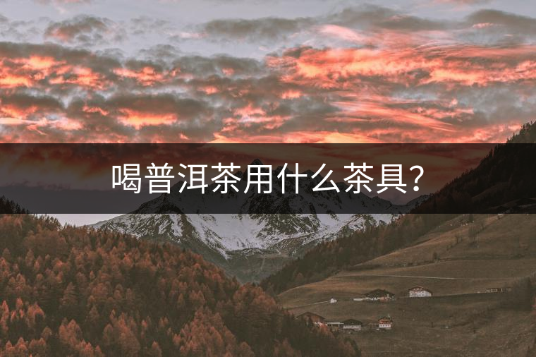 喝普洱茶用什么茶具？