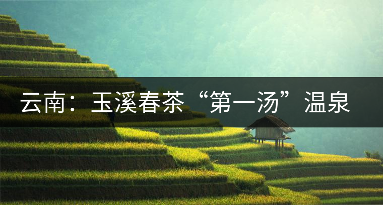 云南:玉溪春茶“第一湯”溫泉里飄香 云南:玉溪春茶“第一湯”溫泉里飄香