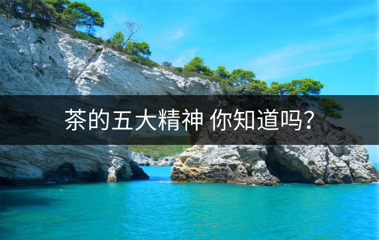 茶的五大精神 你知道嗎？