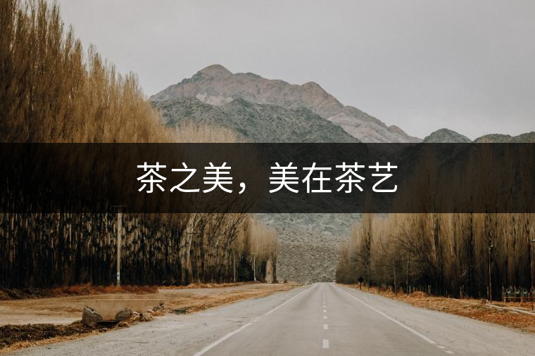 茶之美，美在茶藝