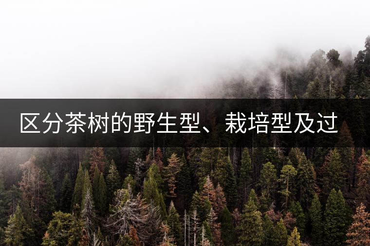 區(qū)分茶樹的野生型、栽培型及過渡型