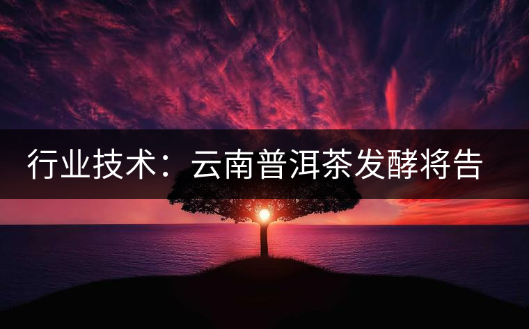 行業(yè)技術(shù):云南普洱茶發(fā)酵將告別手工翻堆 行業(yè)技術(shù):云南普洱茶發(fā)酵將告別手工翻堆