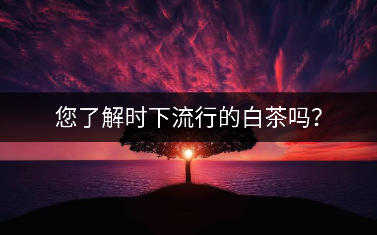 您了解時(shí)下流行的白茶嗎？