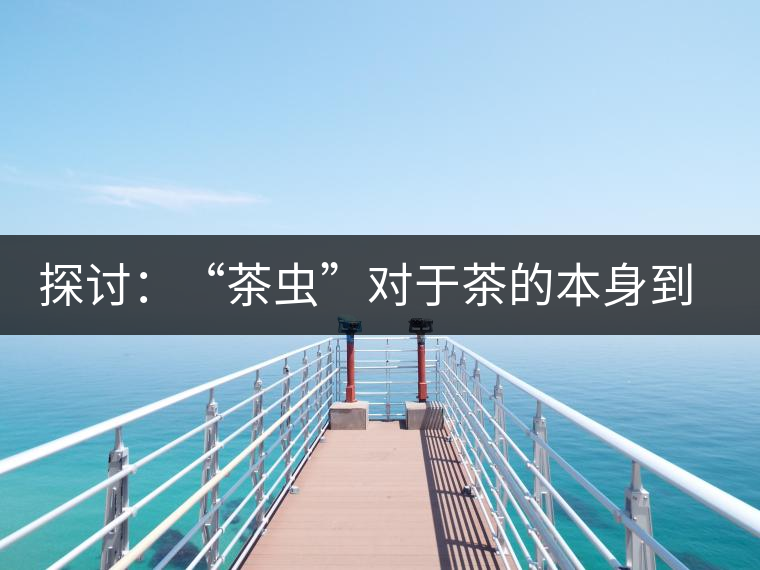 探討：“茶蟲”對于茶的本身到底是好是壞？