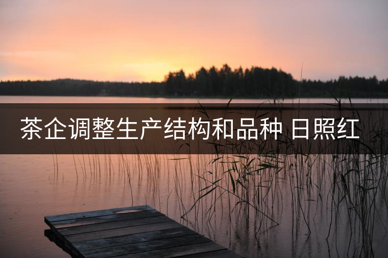 茶企調(diào)整生產(chǎn)結(jié)構(gòu)和品種 日照紅茶產(chǎn)量銷(xiāo)量齊看漲