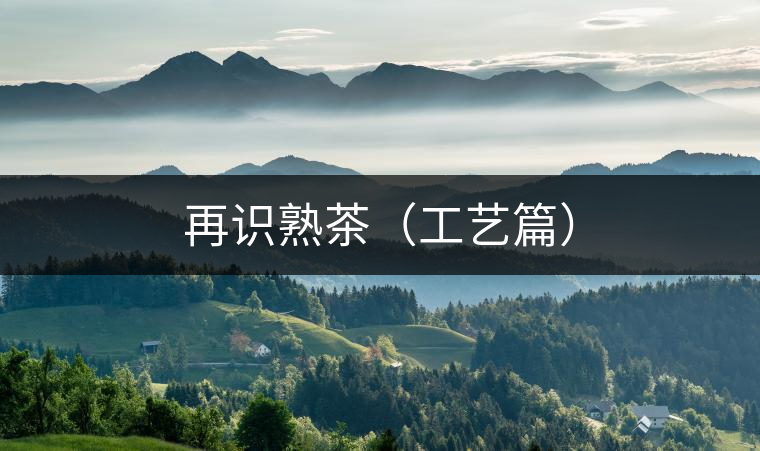 再識(shí)熟茶(工藝篇) 再識(shí)熟茶(工藝篇)