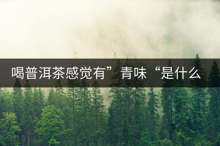 喝普洱茶感覺有”青味“是什么原因？