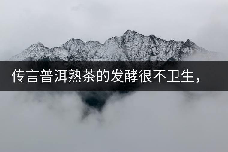 傳言普洱熟茶的發(fā)酵很不衛(wèi)生，是真的嗎？
