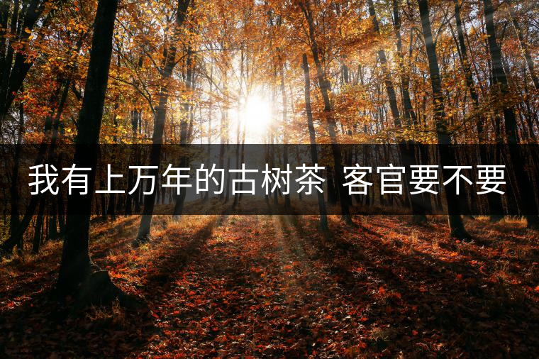 我有上萬(wàn)年的古樹茶  客官要不要嘗嘗？