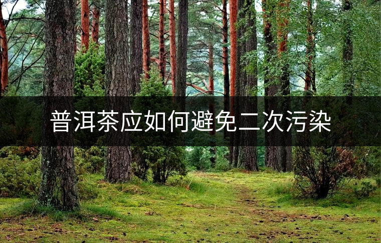 普洱茶應(yīng)如何避免二次污染 普洱茶應(yīng)如何避免二次污染