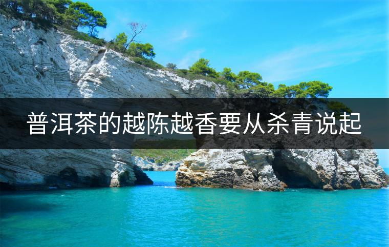 普洱茶的越陳越香要從殺青說(shuō)起