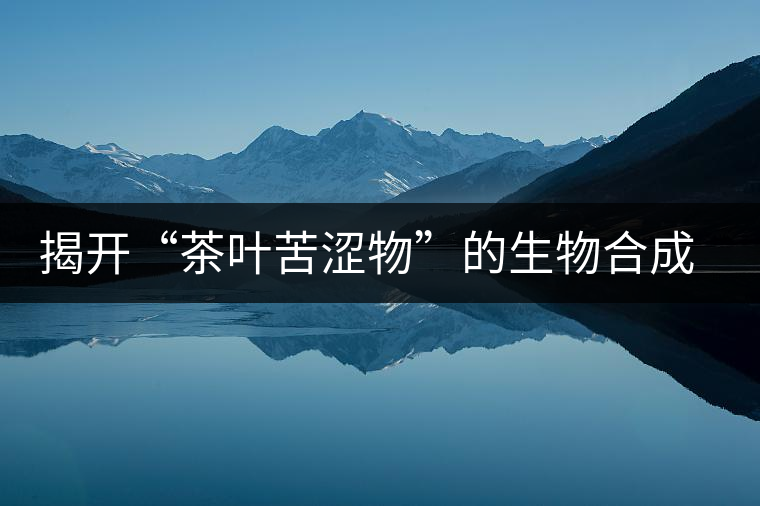 揭開“茶葉苦澀物”的生物合成之謎 揭開“茶葉苦澀物”的生物合成之謎