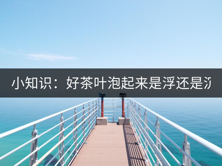 小知識(shí)：好茶葉泡起來是浮還是沉？