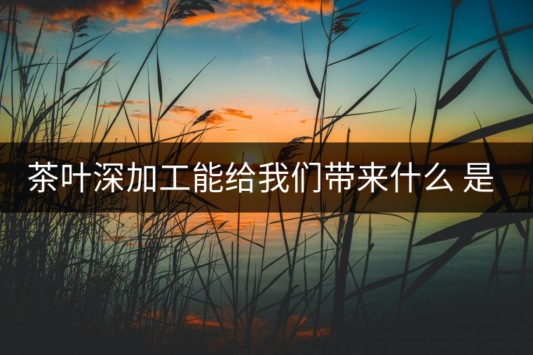 茶葉深加工能給我們帶來什么 是利還是弊呢？