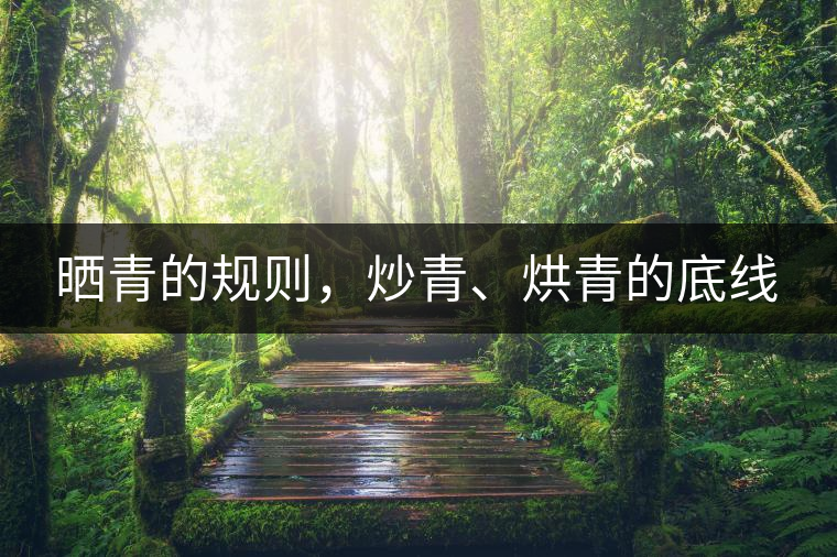 曬青的規(guī)則，炒青、烘青的底線