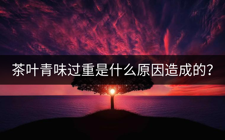 茶葉青味過重是什么原因造成的？