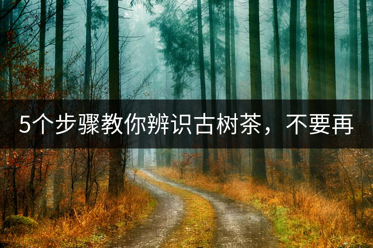 5個步驟教你辨識古樹茶，不要再被騙了！