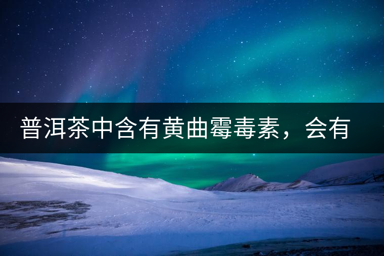 普洱茶中含有黃曲霉毒素，會(huì)有致癌的危險(xiǎn)？終于有明確的答案了