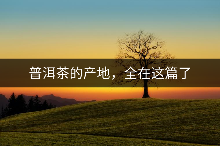 普洱茶的產(chǎn)地，全在這篇了