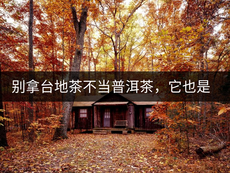 別拿臺地茶不當(dāng)普洱茶，它也是大葉種喬木