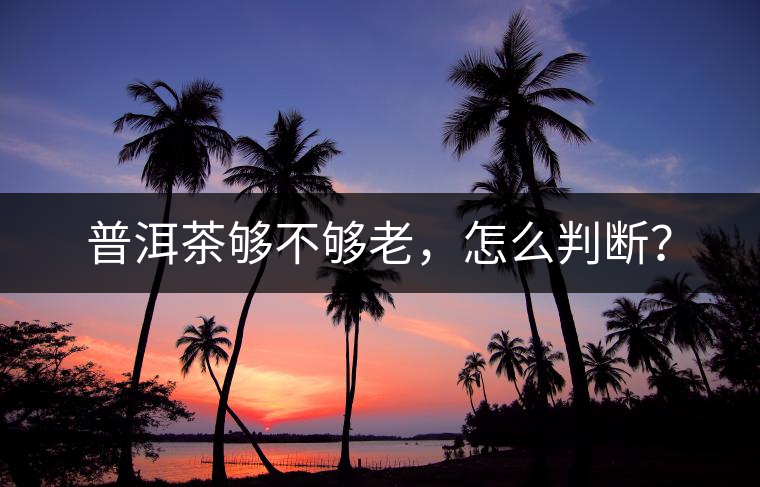 普洱茶夠不夠老，怎么判斷？