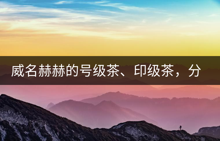 威名赫赫的號級茶、印級茶，分別是些什么普洱茶？