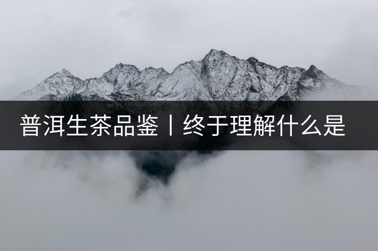 普洱生茶品鑒丨終于理解什么是“醇厚、耐泡，回甘”了