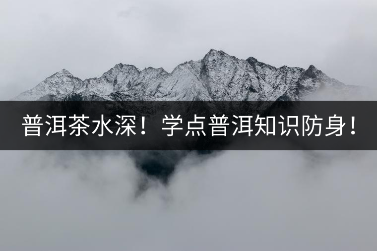 普洱茶水深！學(xué)點(diǎn)普洱知識(shí)防身！