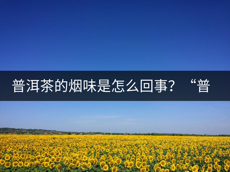 普洱茶的煙味是怎么回事？“普洱教父”白水清最新解析！