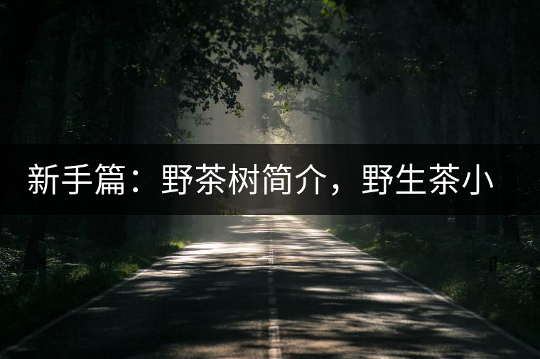 新手篇：野茶樹簡介，野生茶小知識